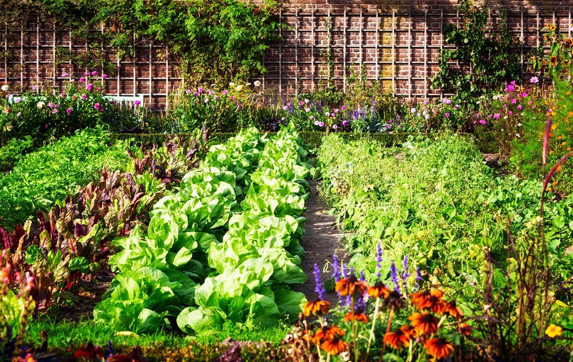 7 Tips for Starting a MasterPlanned Garden on Your Land