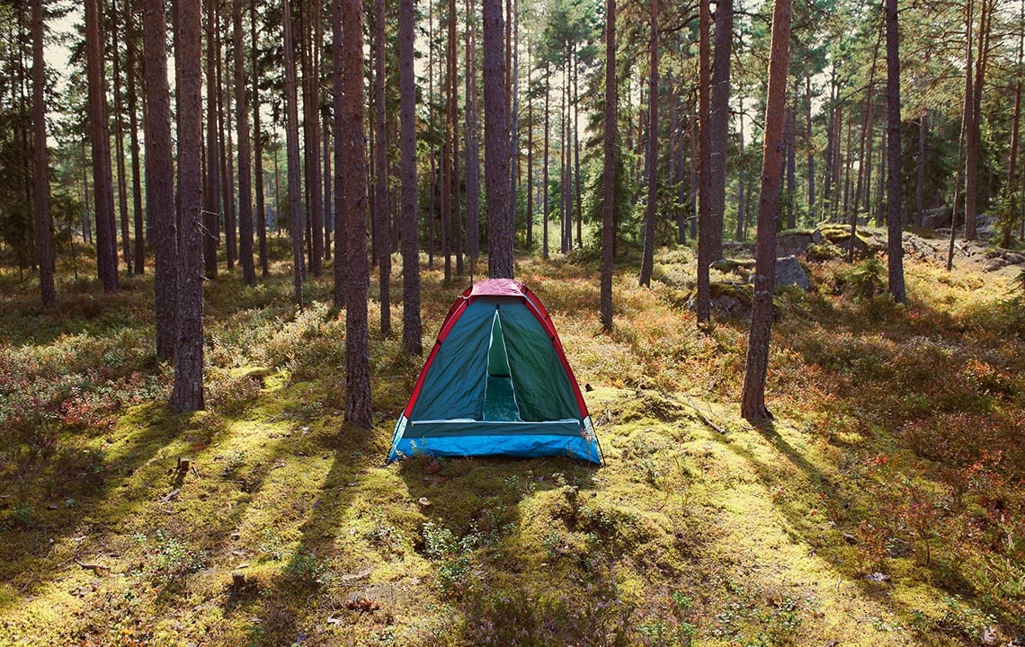 How to Create a Campsite on Your Land