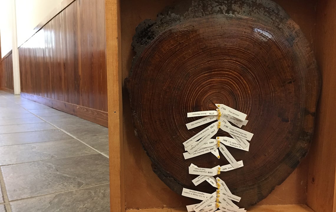 How a forester created wooden decor from a piece of history