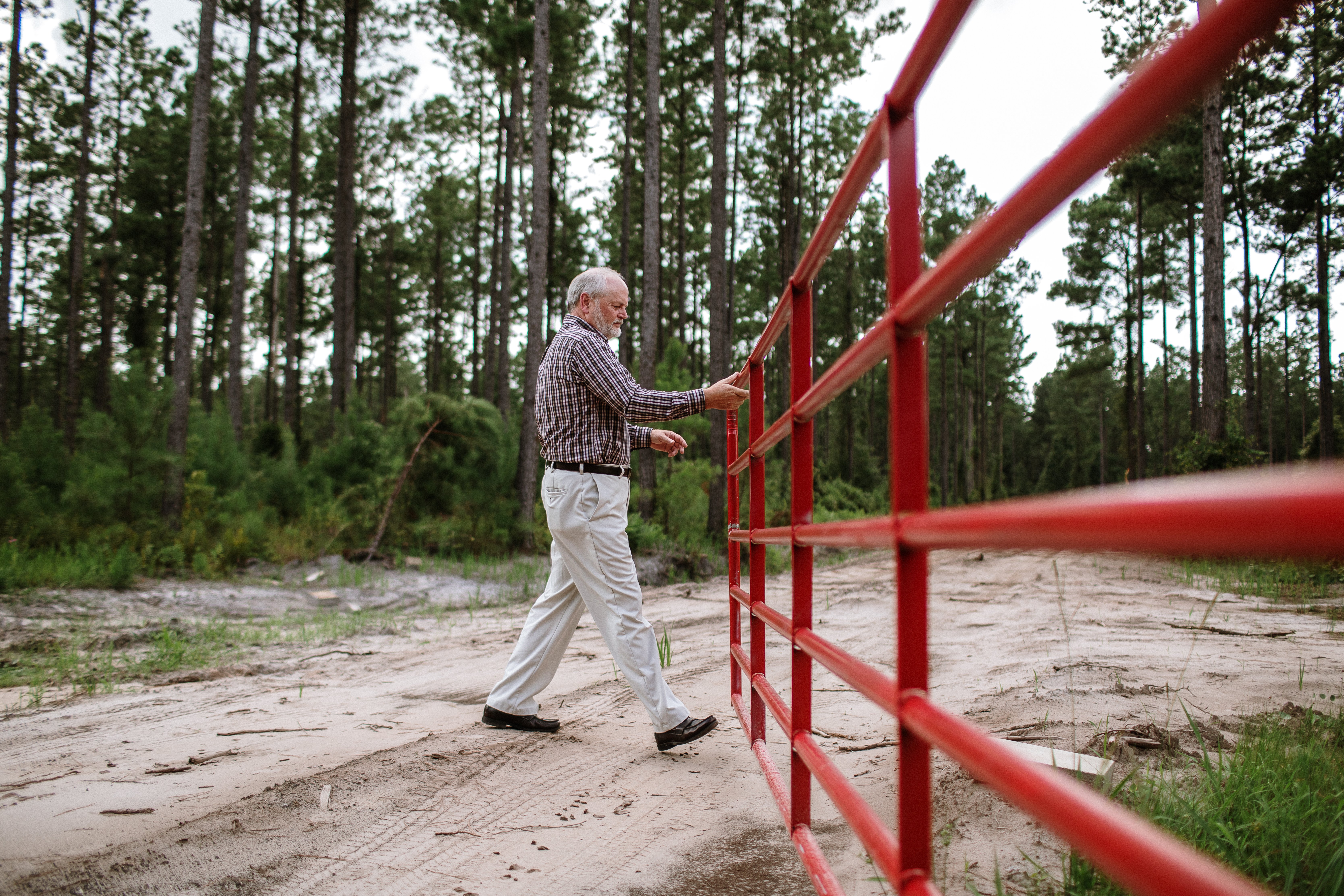 How to Clear Land to Build a Homestead  Tips and Advice from a Florida Landowner