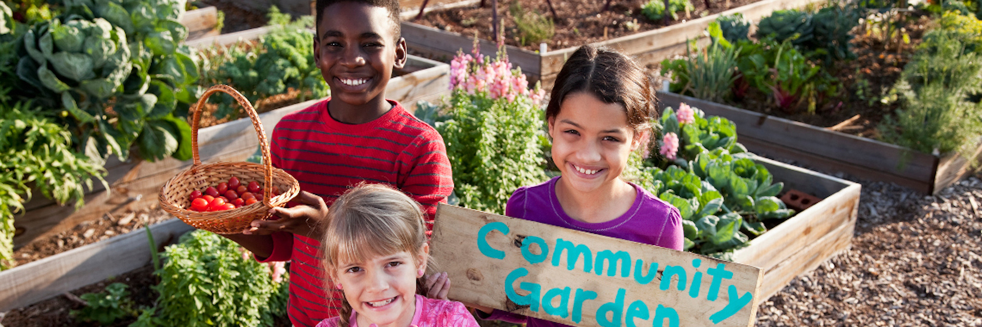 Digging Into Community Gardens: How They Work and How to Start One