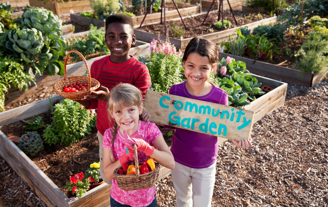 Digging Into Community Gardens: How they Work and How to Start One