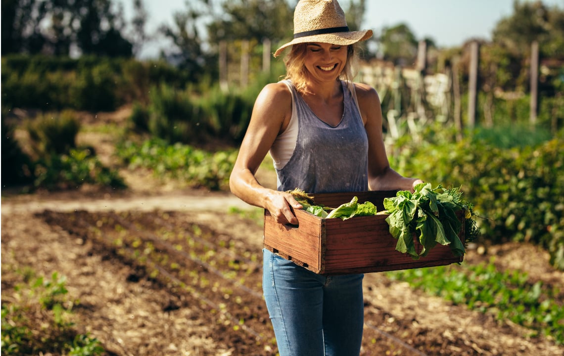Embrace the Garden Mess: The How-Tos and Benefits of No-Till Gardening