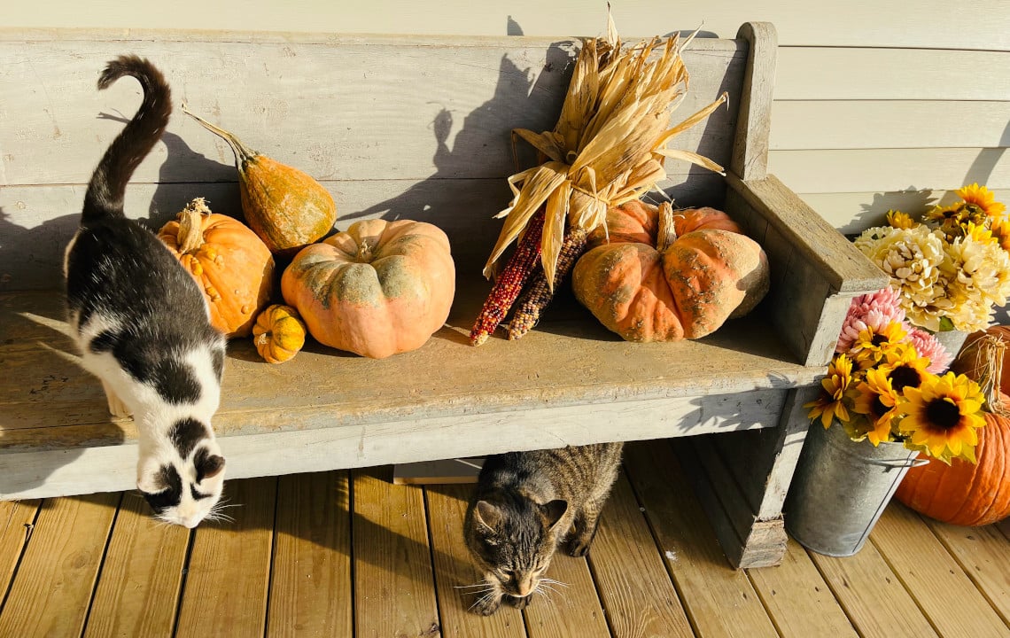 How to Host An Unforgettable Thanksgiving On Your Homestead