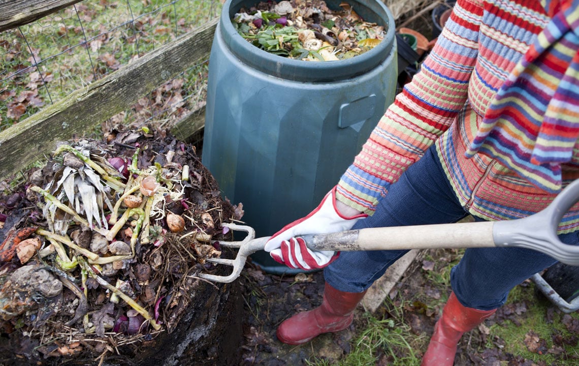 Composting for the Verminphobic  One Couple's Harrowing Story