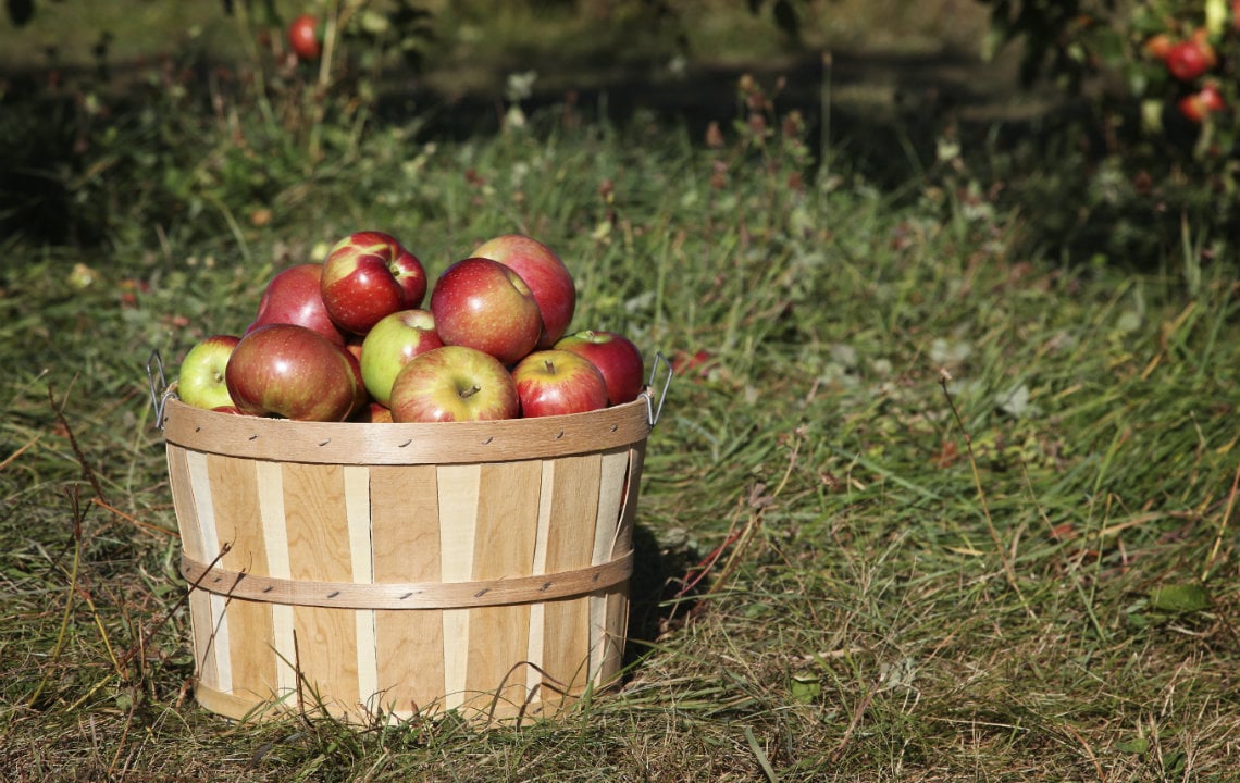 10 Clever (and Easy) Ways to Use Up Apples