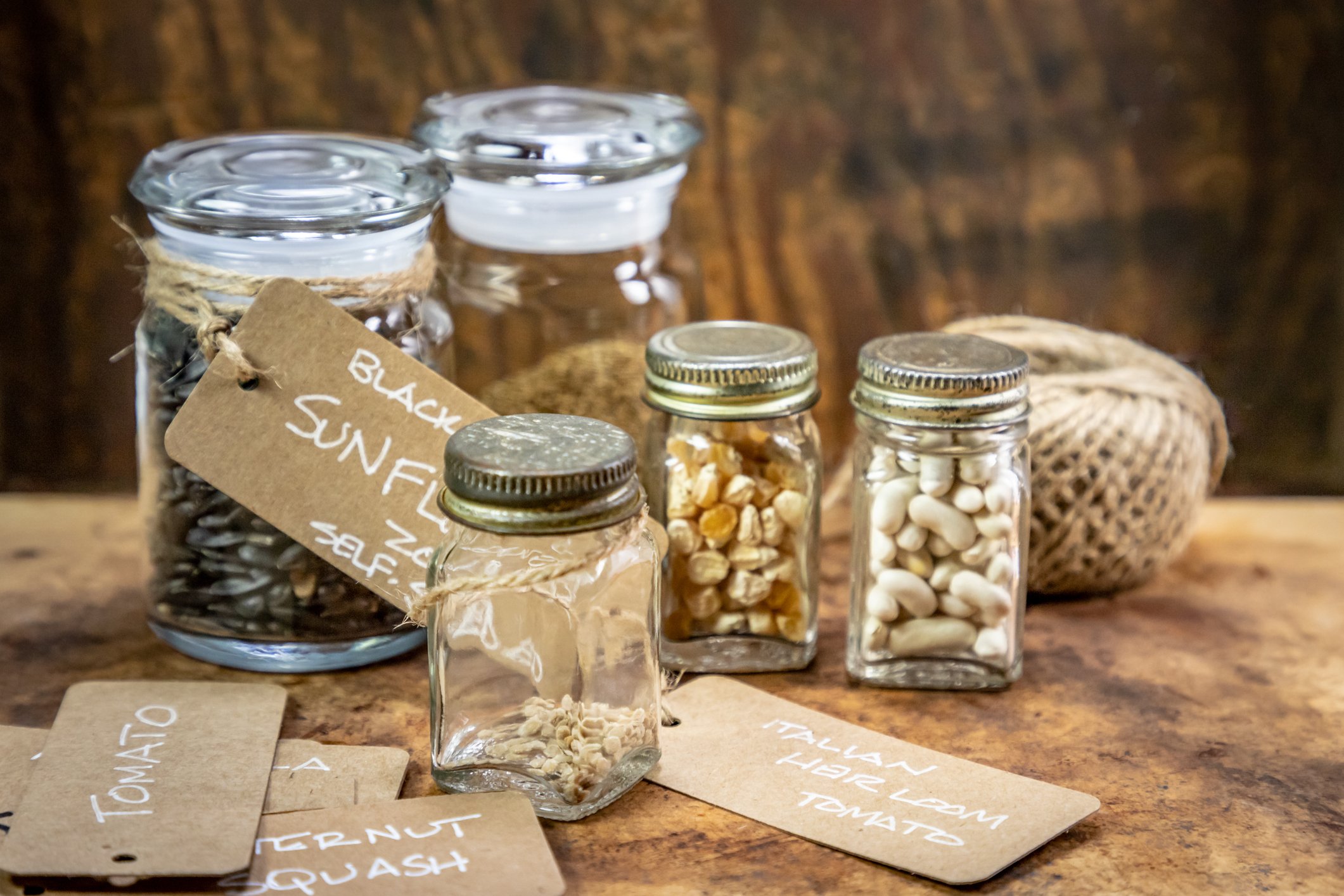 Introduction to Seed Saving