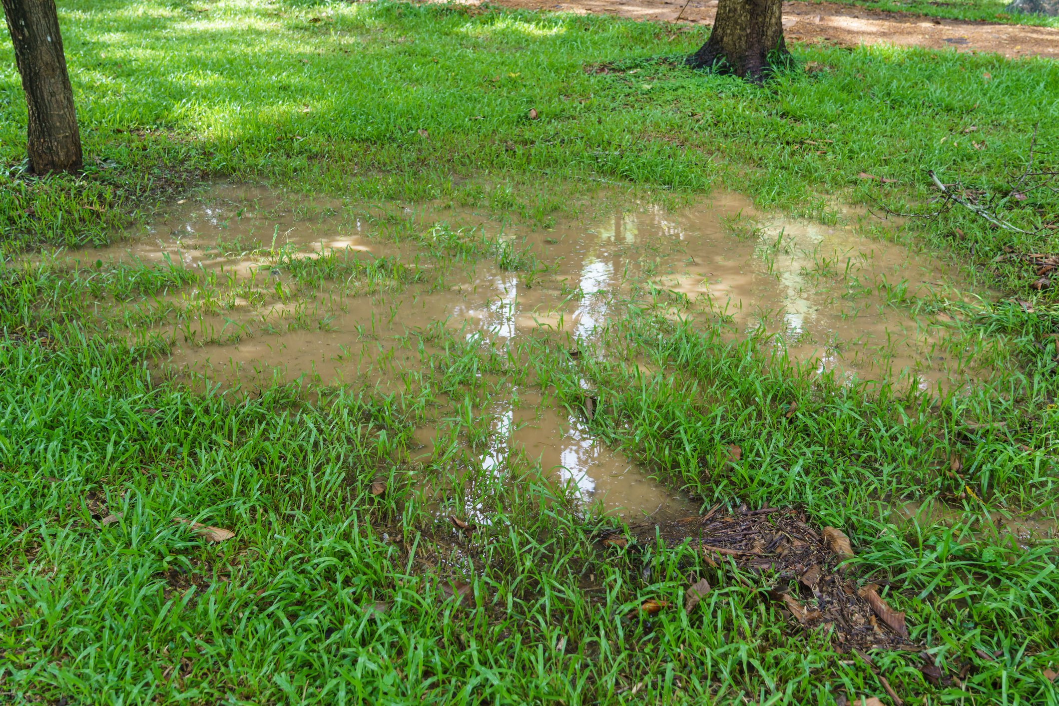 Here’s how to solve boggy problem areas on your land