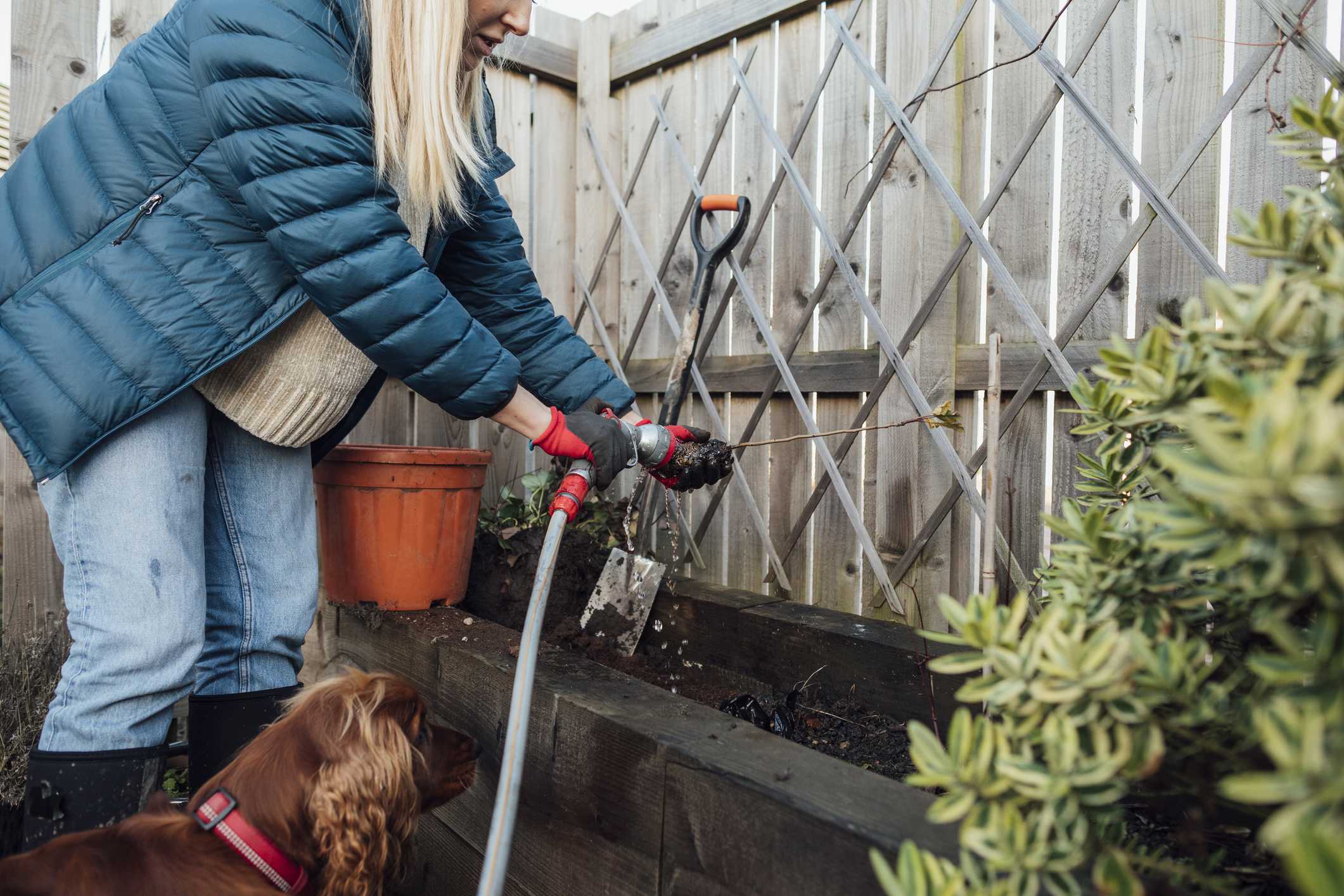 Late Winter Gardening: Things You Can Do in February to Prepare for Spring