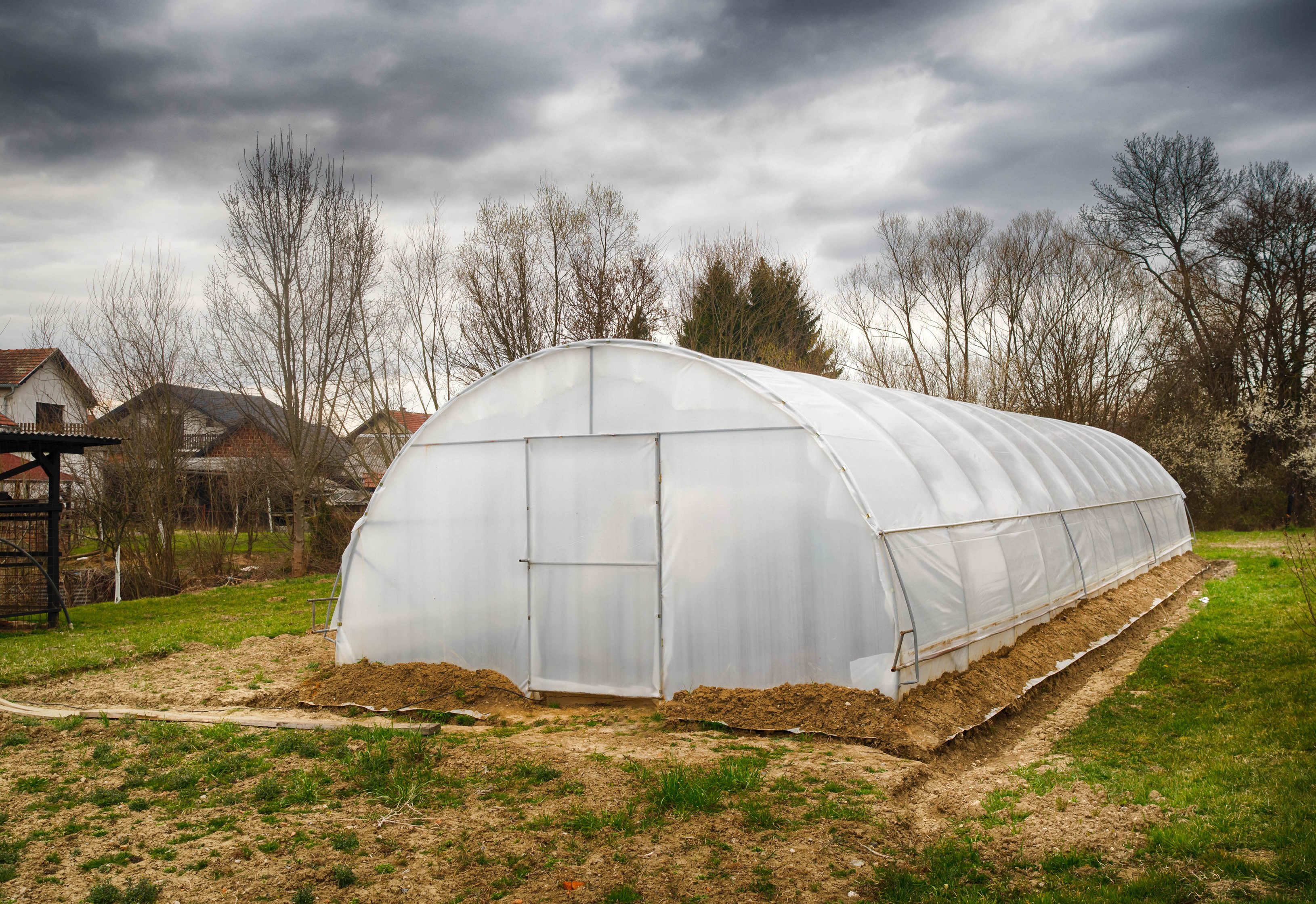 High Tunnels for Beginners, Homesteaders and Hobby Farmers