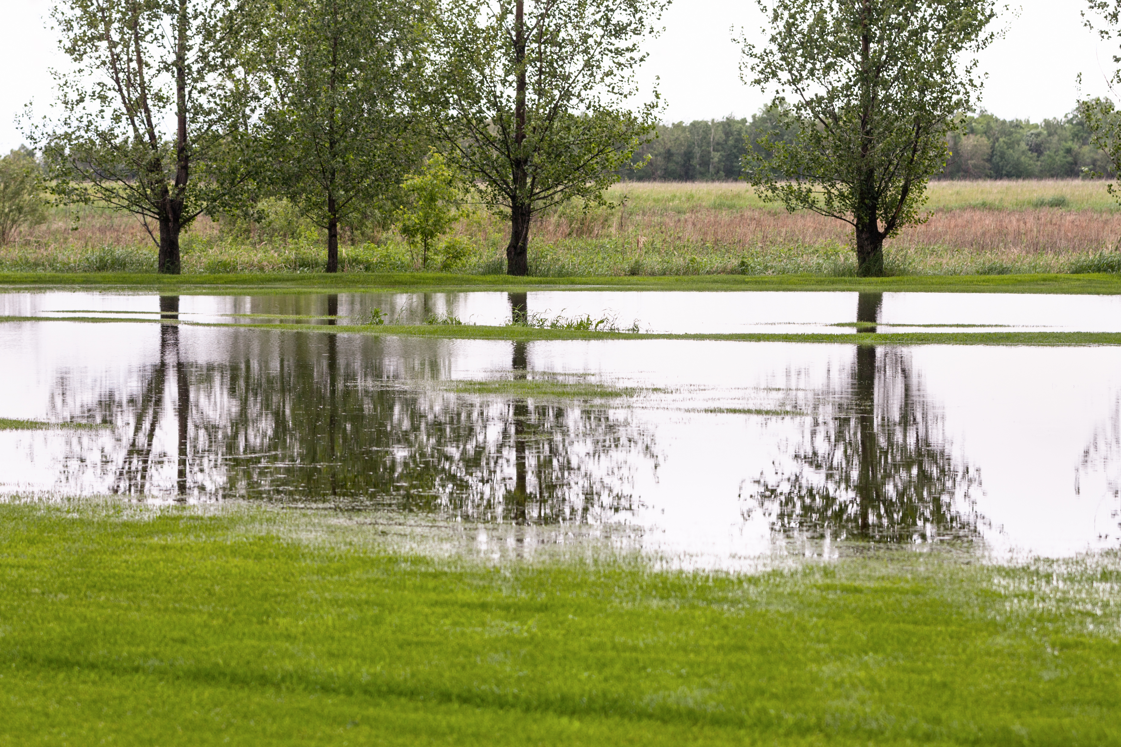 How to Deal With Drainage IssuesA Cautionary Tale