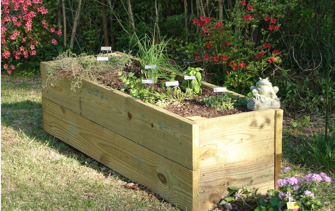 5 Ways to Maximize Your Gardening Potential