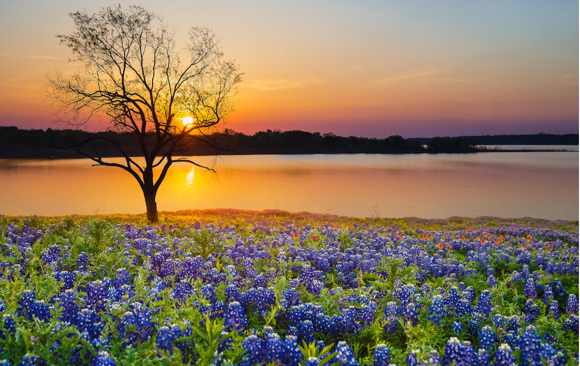 Looking For Land For Sale In Texas? 10 Reasons To Consider Polk County