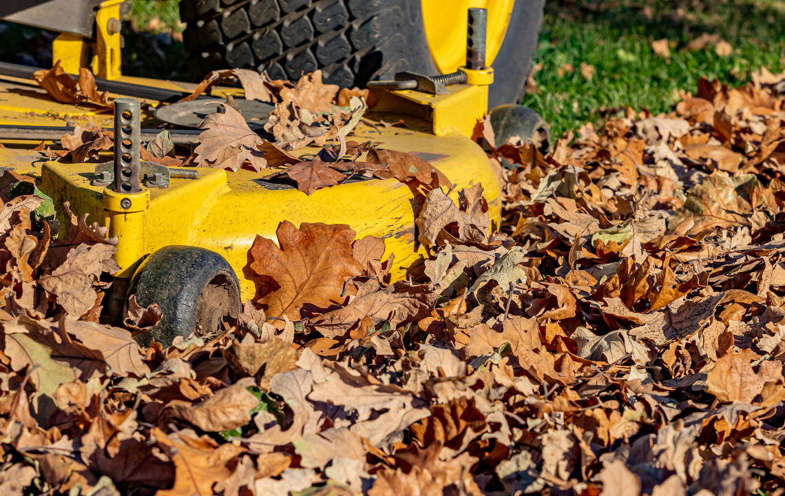 How to DIY Leaf Mulch for Lawn  Garden Care