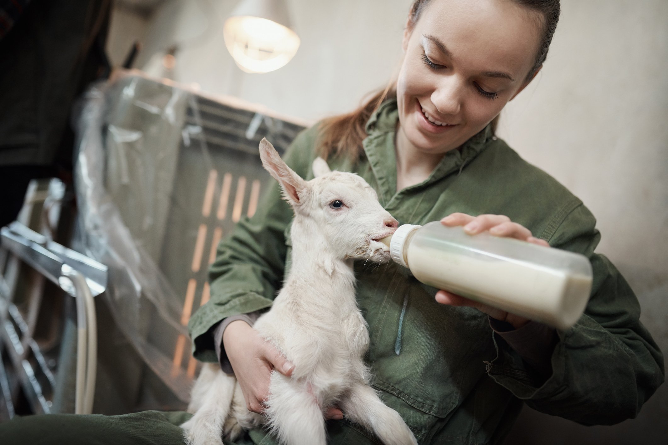 How Keeping farm animals keeps you happier and healthier
