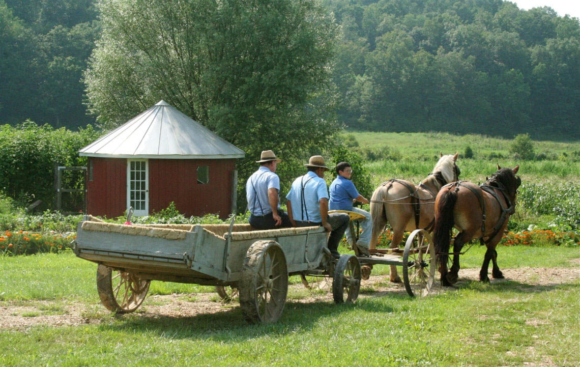 Mennonites  Me  Rethink Rural Blog  Rural Life