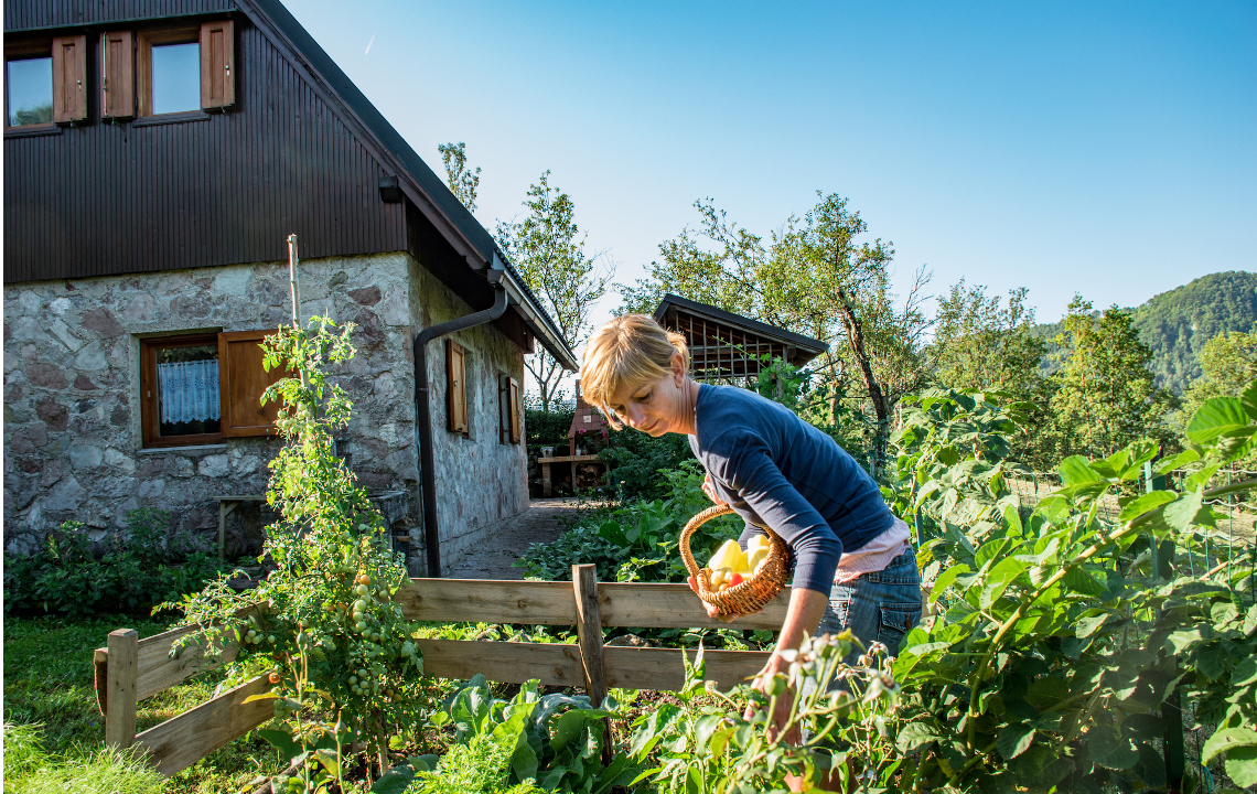 A Self-sufficient Lifestyle From The Homestead To The Field Woman-powered Farm 