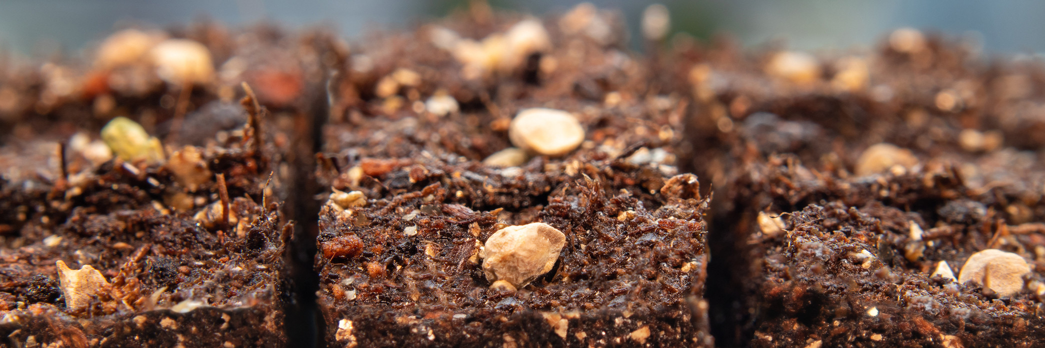 How to Make Soil Blocks for Waste-Free Seed Starting