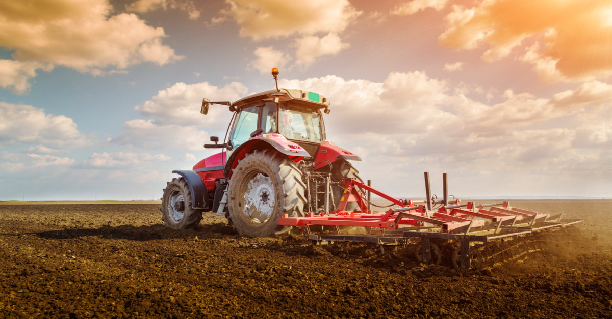 How to Clear Out Land for Your Homestead